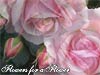 Flower E-cards: Pink love