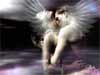 Love E-Cards: Love wings